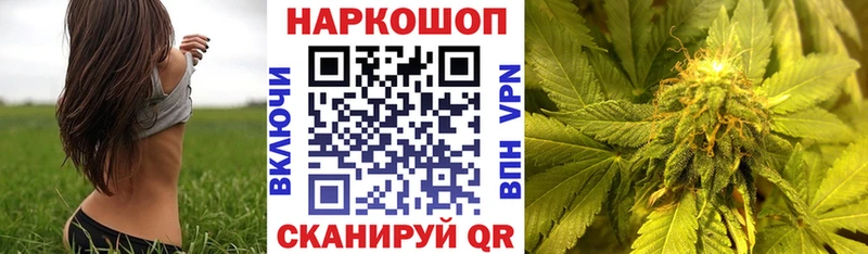 Где купить наркотики Медынь МАРИХУАНА  мега   Амфетамин  ГАШИШ  КОКАИН  Меф 