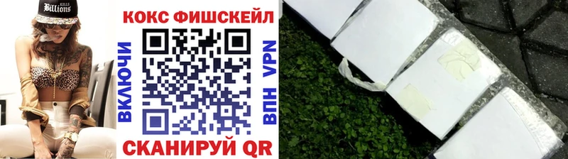 COCAIN Fish Scale Медынь