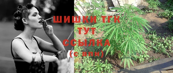 твердый Бородино
