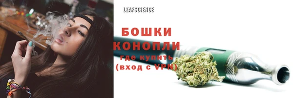 твердый Бородино