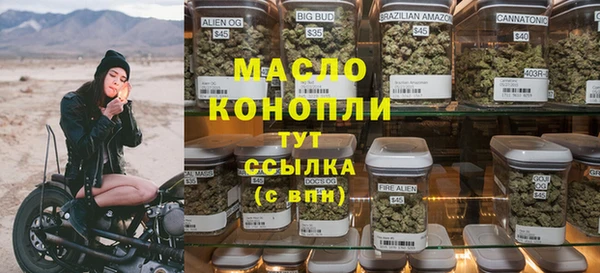 твердый Бородино
