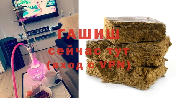 ECSTASY Богданович