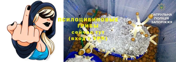 твердый Бородино