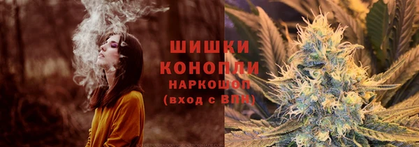 твердый Бородино