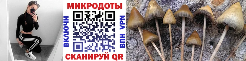 Псилоцибиновые грибы мухоморы  Медынь 